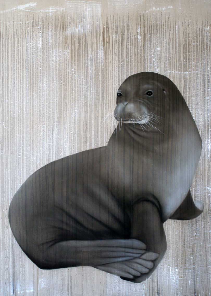 Med-Monachus SEAL-Contemporary animal painter threatened species