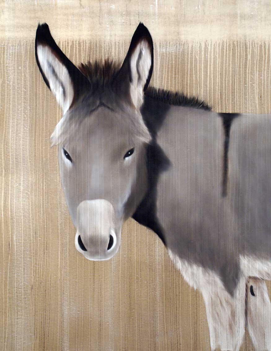 Ane-gris donkey Thierry Bisch Contemporary painter animals painting art decoration nature biodiversity conservation