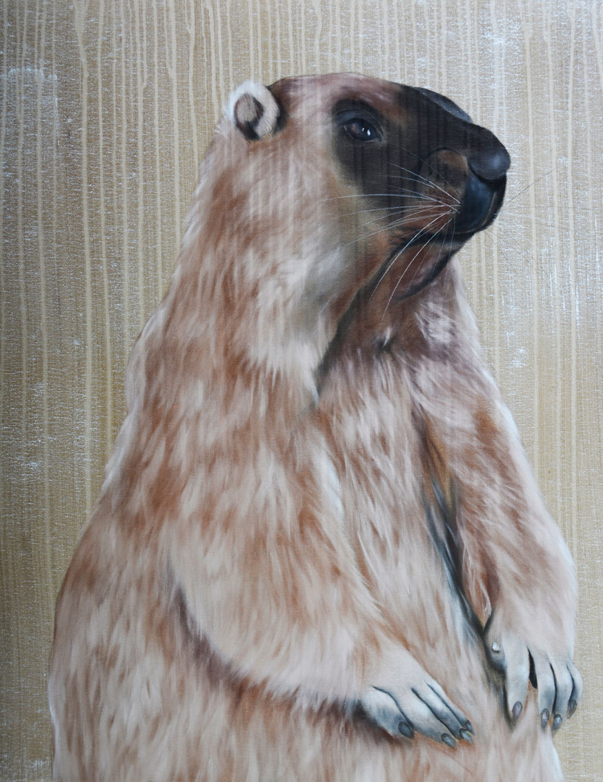 GROUNDHOG groundhog Thierry Bisch Contemporary painter animals painting art decoration nature biodiversity conservation