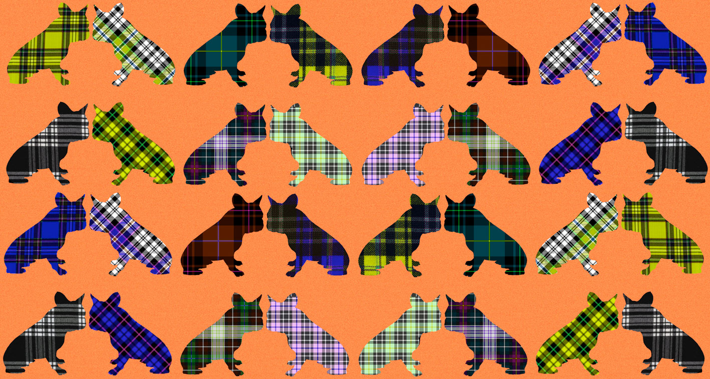 Tartans Frenchies 2 tartans-kilt-scot-bulldog-french-frenchy Thierry Bisch Contemporary painter animals painting art decoration nature biodiversity conservation