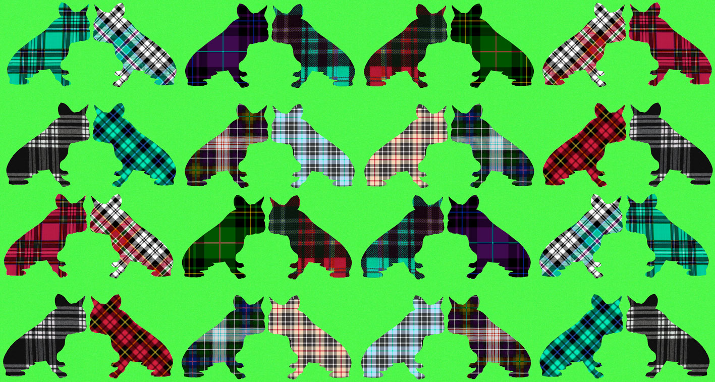 Tartans Frenchies 3 tartans-kilt-scot-bulldog-french-frenchy Thierry Bisch Contemporary painter animals painting art decoration nature biodiversity conservation