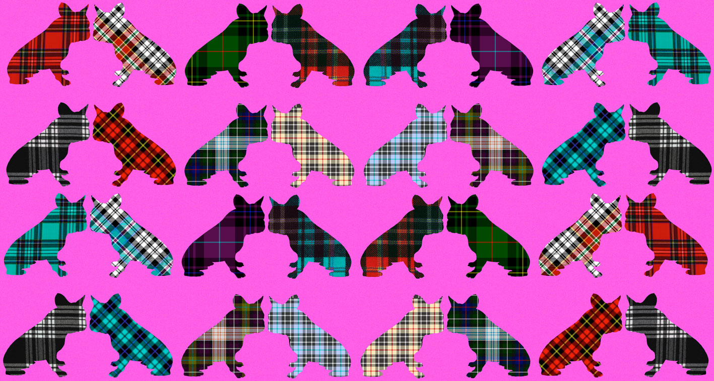 Tartans Frenchies 1 tartans-kilt-scot-bulldog-french-frenchy Thierry Bisch Contemporary painter animals painting art decoration nature biodiversity conservation