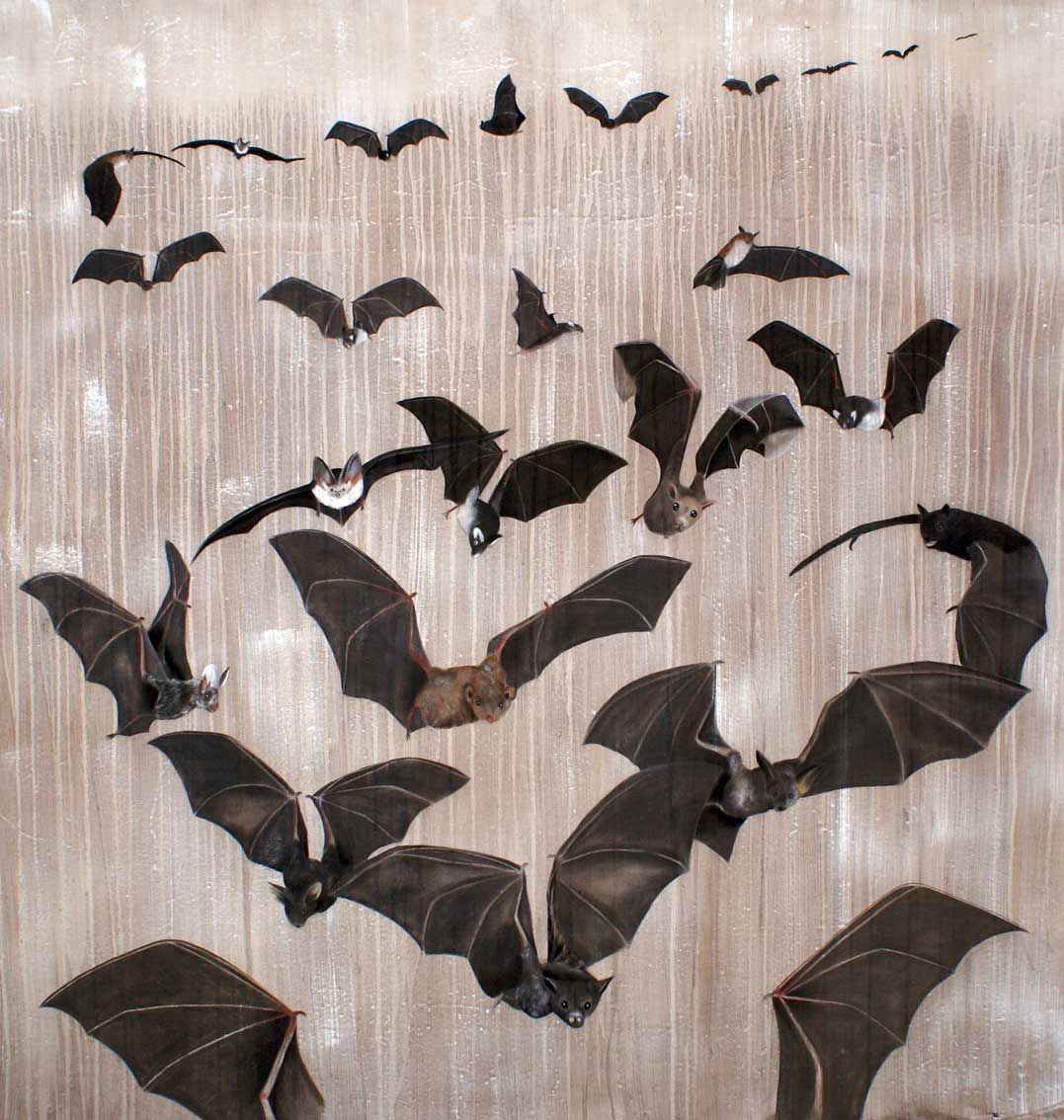 BATS Chauve-souris-envol-de-chauves-souris Thierry Bisch artiste peintre animaux tableau art  nature biodiversité conservation  