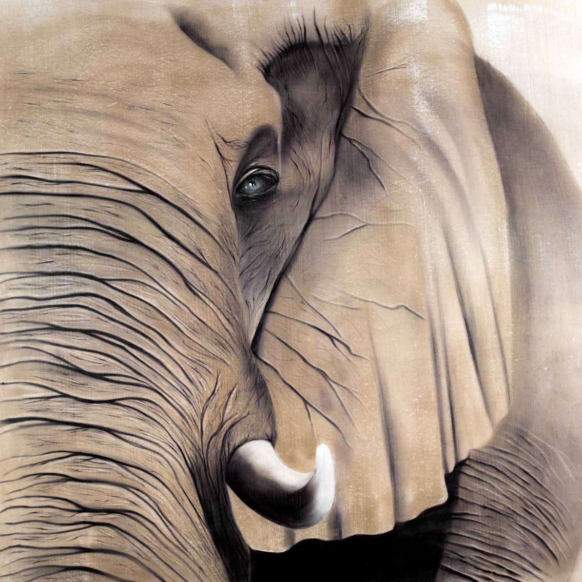 Elephant 2 élephant-elephant Thierry Bisch artiste peintre contemporain animaux tableau art décoration biodiversité conservation 