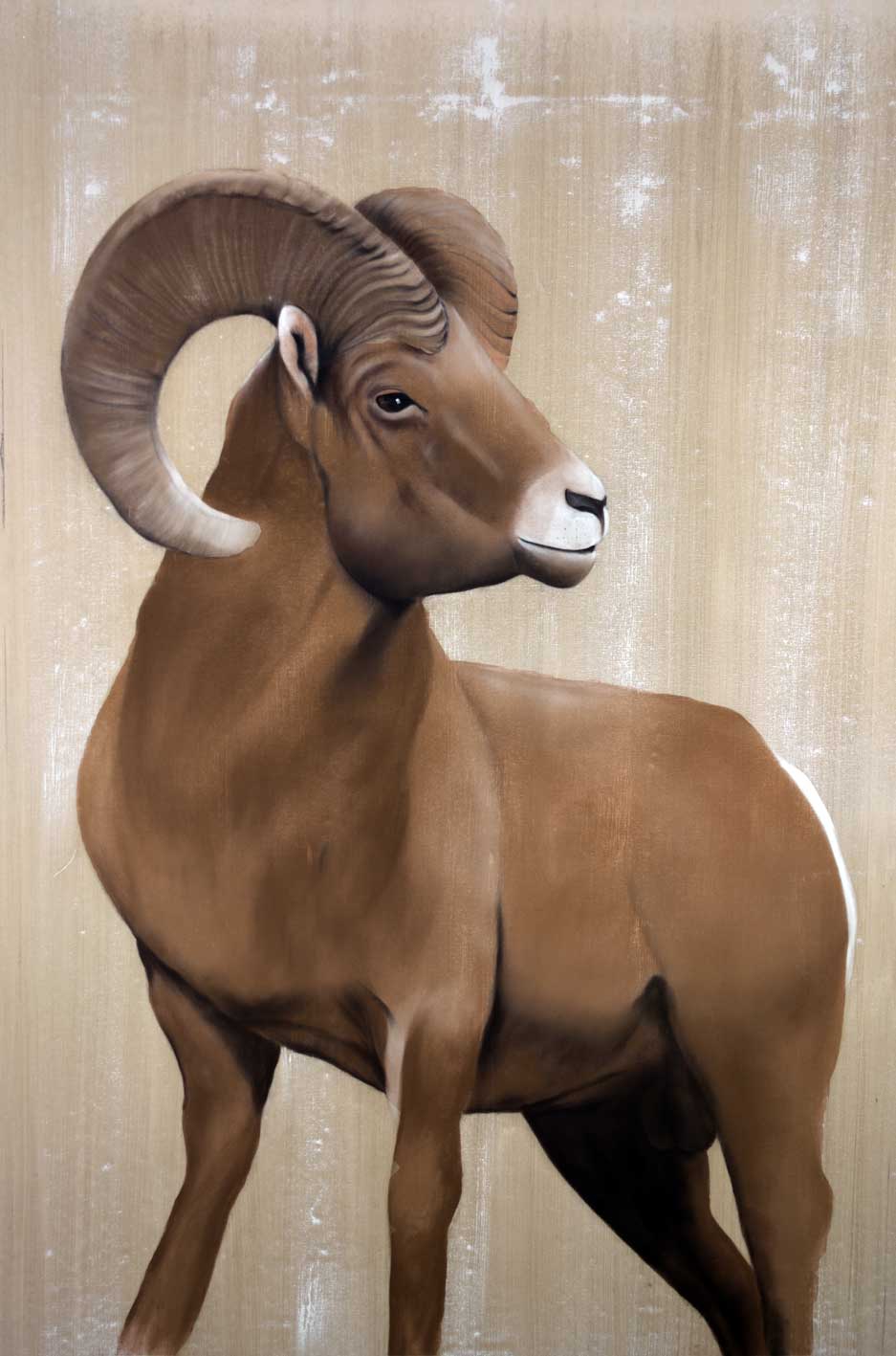 BIG-HORN Mouflon Thierry Bisch artiste peintre contemporain animaux tableau art décoration biodiversité conservation 