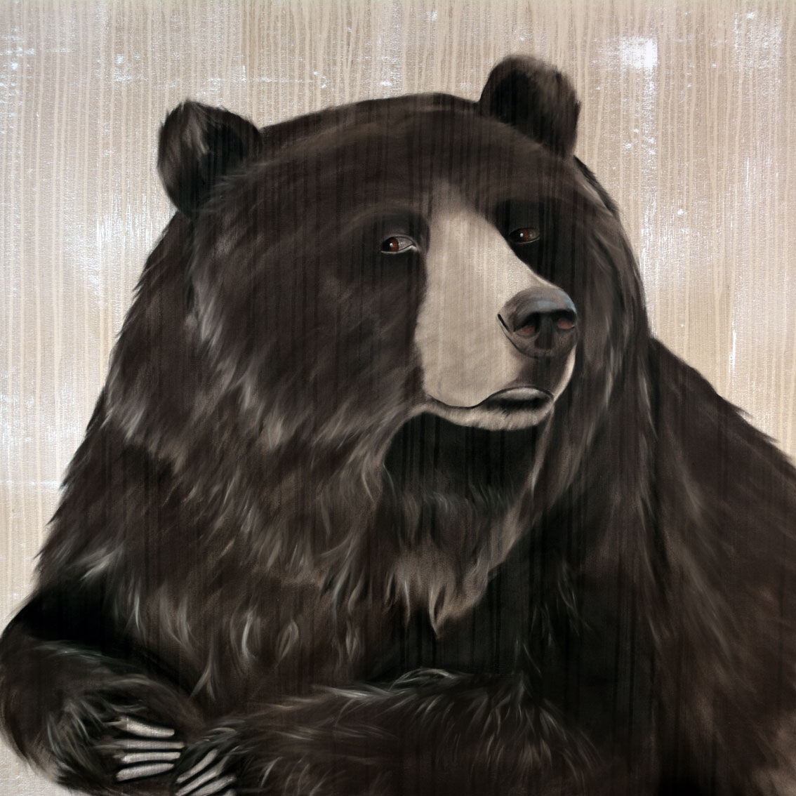 GRIZZLY BEAR ours-brun-grizzly Thierry Bisch artiste peintre contemporain animaux tableau art décoration biodiversité conservation 
