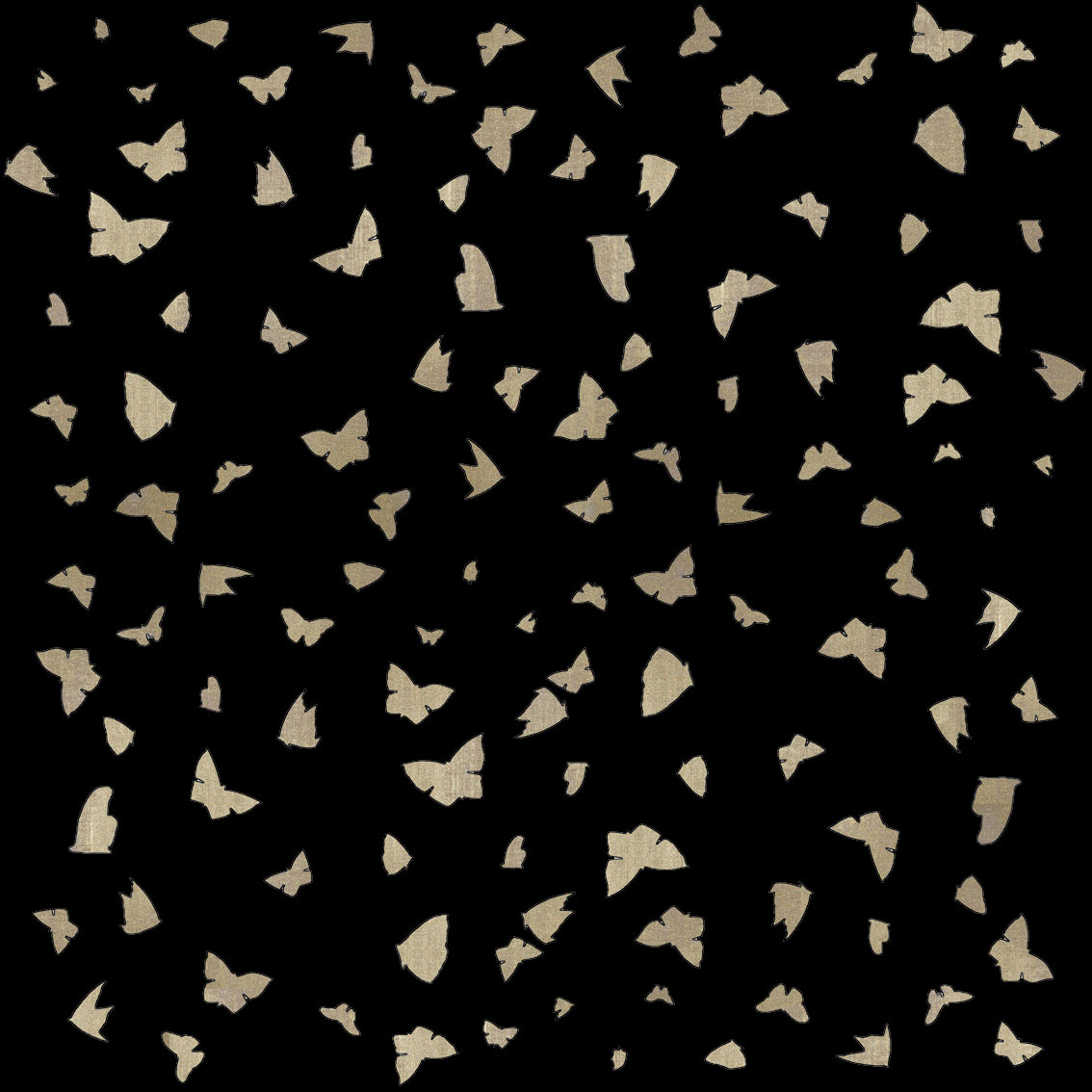 Golden Butterflies on Black papillon-lépidoptère-sphynx-aurore-bombyx-paon-du-jour-monarque Thierry Bisch artiste peintre contemporain animaux tableau art décoration biodiversité conservation 
