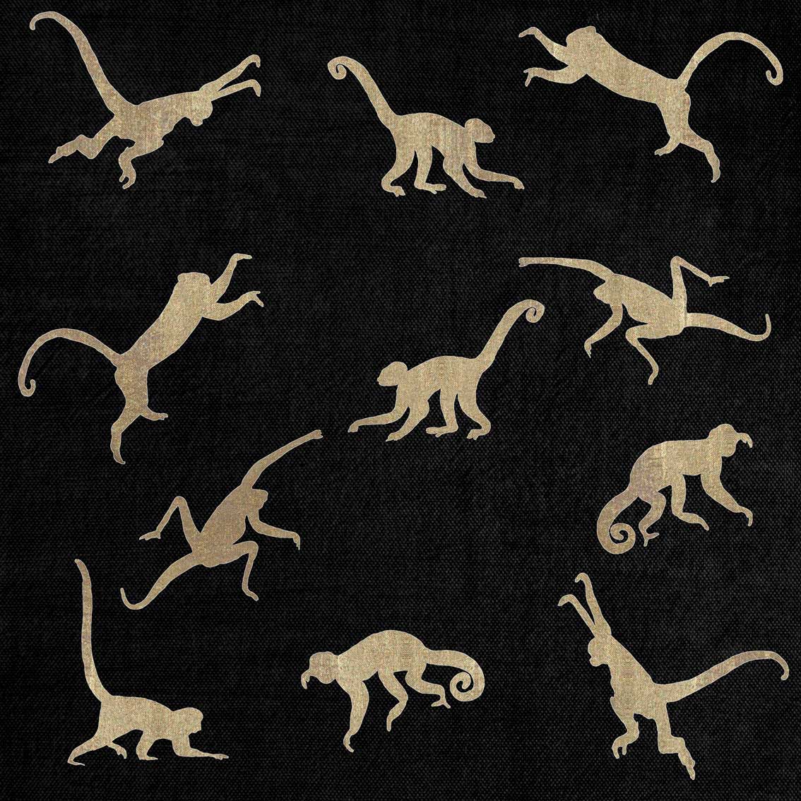 Golden Monkeys on Black singe-singe-capucin-cebus-sapajou-capucin-moine Thierry Bisch artiste peintre contemporain animaux tableau art décoration biodiversité conservation 