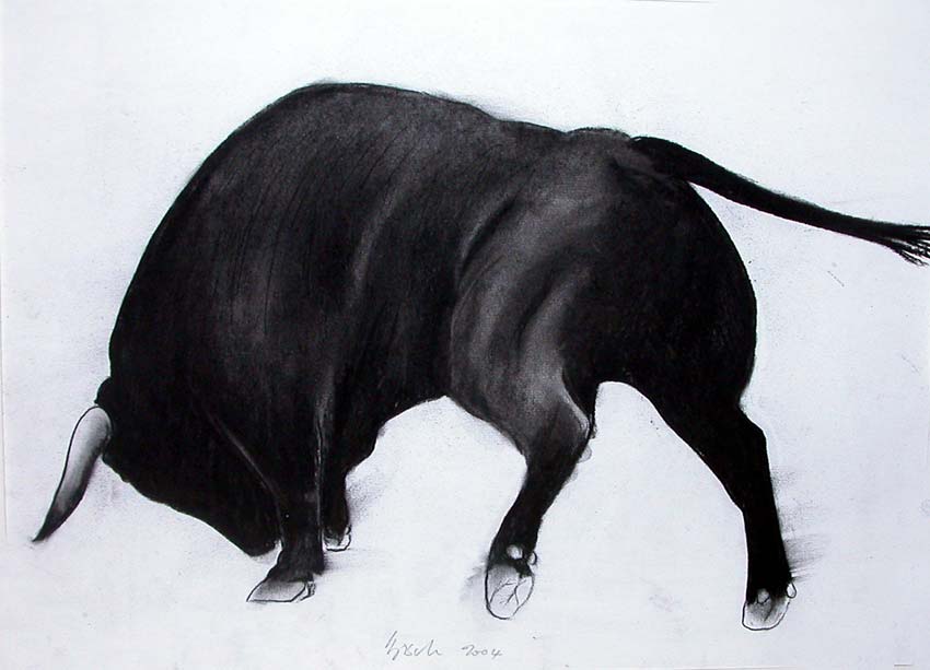 Hermosito taureau Thierry Bisch artiste peintre animaux tableau art  nature biodiversité conservation  