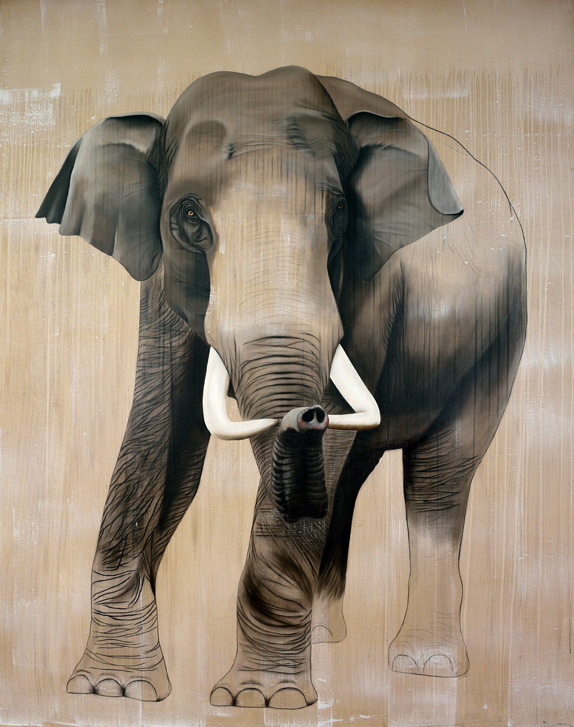 ELEPHAS-MAXIMUS  Thierry Bisch artiste peintre contemporain animaux tableau art décoration biodiversité conservation 
