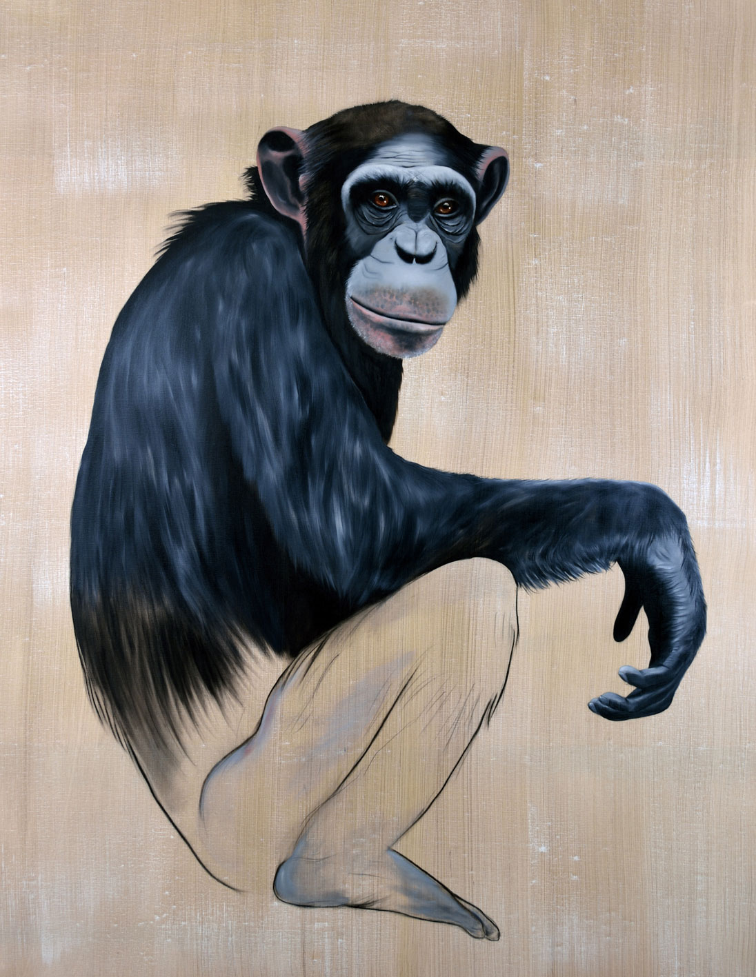 PAN-TROGLODYTES pan-troglodytes-chimpanzé Thierry Bisch artiste peintre contemporain animaux tableau art décoration biodiversité conservation 