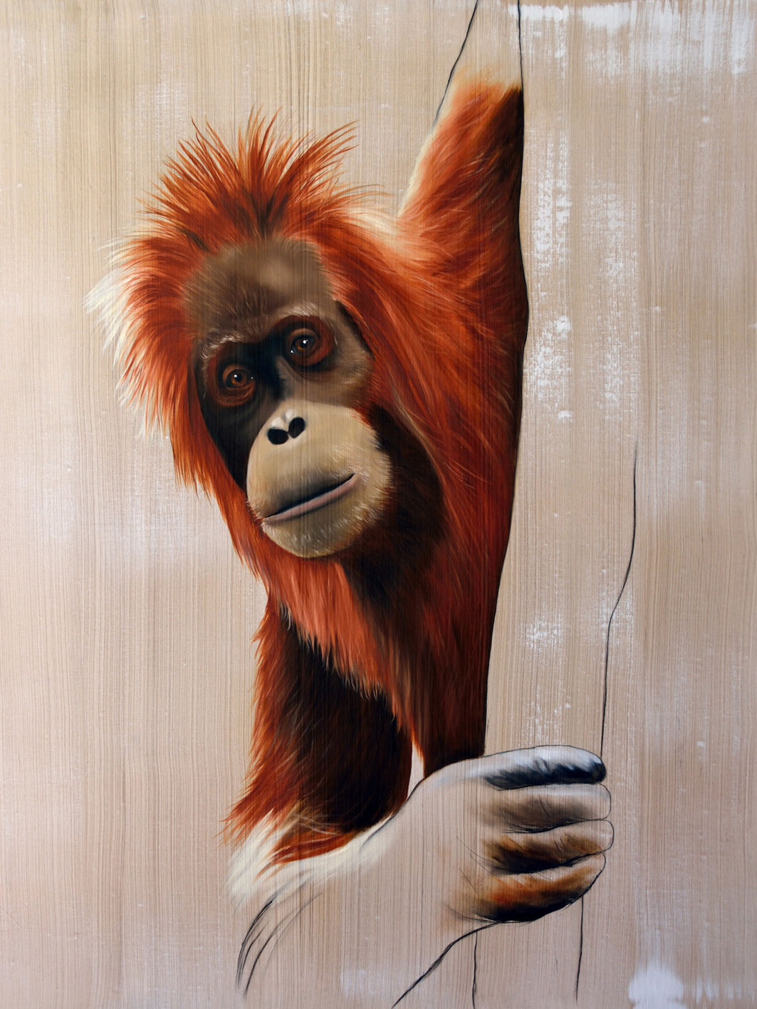 PONGO  Thierry Bisch artiste peintre contemporain animaux tableau art décoration biodiversité conservation 