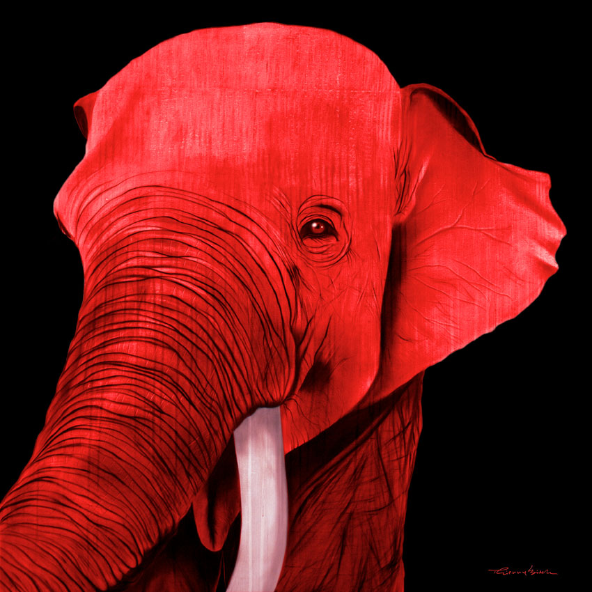 BATUNA RED ELEPHANT- 動物画