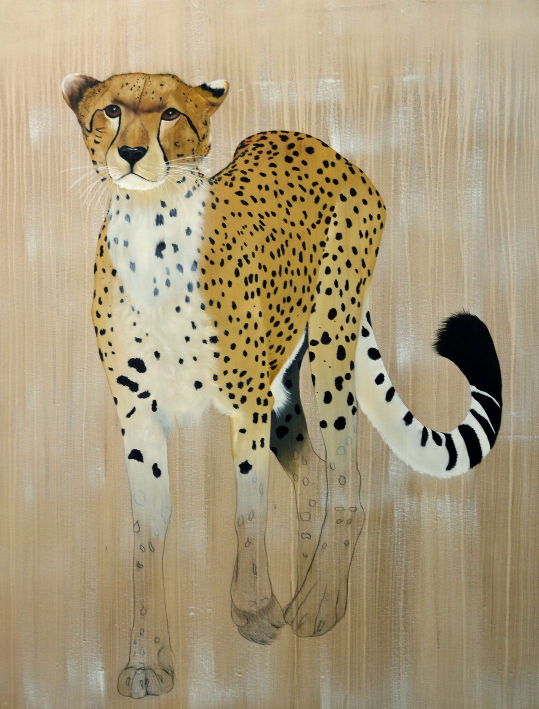 ACINONYX JUBATUS acinonyx-jubatus-cheetah-delete-threatened-endangered-extinction- Thierry Bisch Contemporary painter animals painting art decoration nature biodiversity conservation