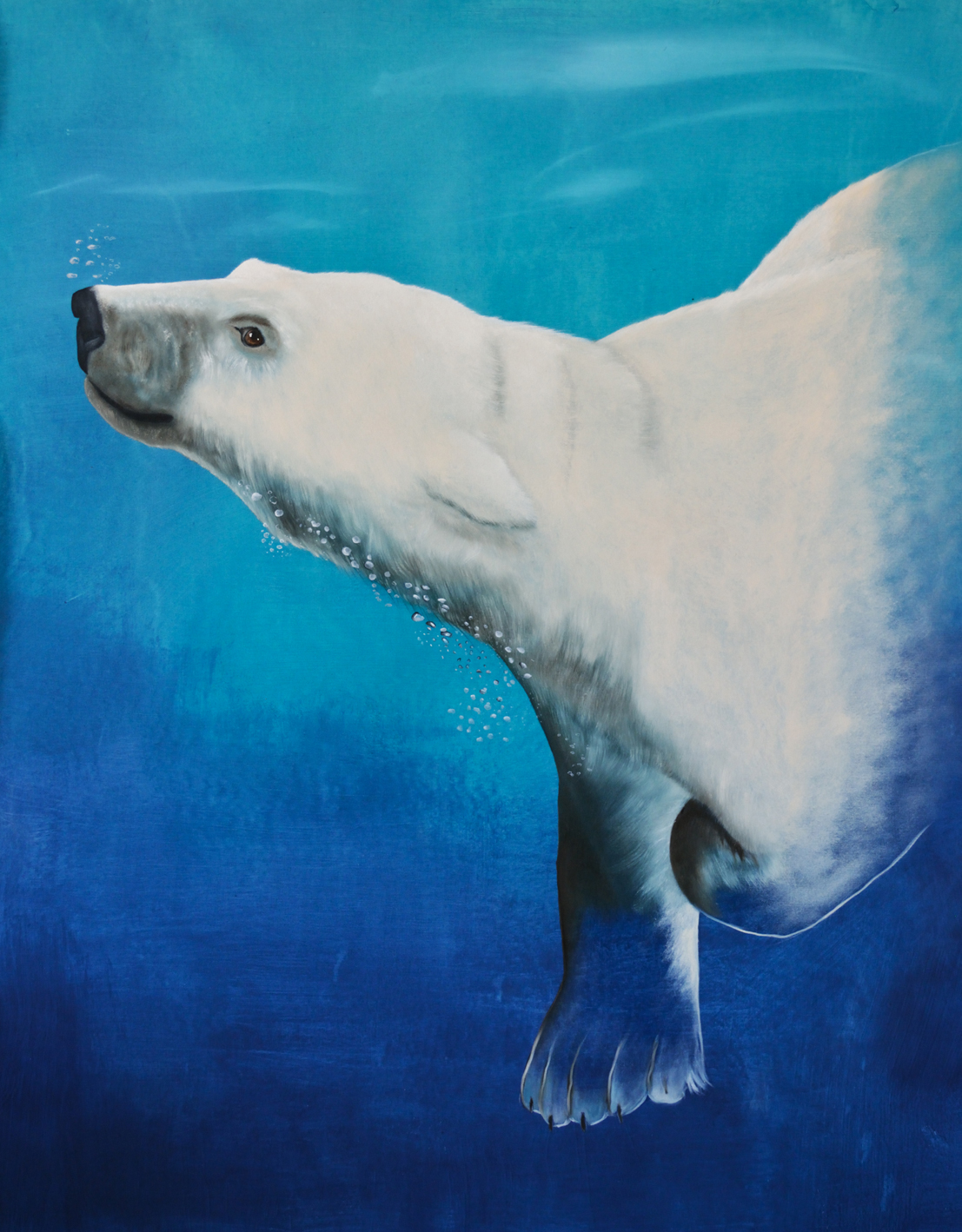 URSUS-MARITIMUS--4 polar-bear-white-swiming-ursus-maritimus Thierry Bisch Contemporary painter animals painting art  nature biodiversity conservation 