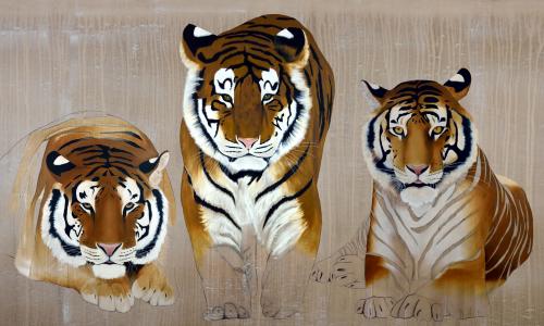  tiger panthera tigris 動物画 Thierry Bisch Contemporary painter animals painting art decoration nature biodiversity conservation