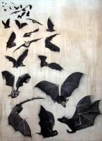 Bats コウモリのバット飛行 動物画 Thierry Bisch Contemporary painter animals painting art  nature biodiversity conservation