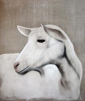 Chevrette 
goat-white-goat-ヤギ白ヤギ 動物画 Thierry Bisch Contemporary painter animals painting art  nature biodiversity conservation
