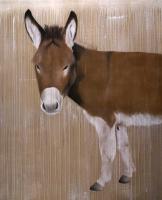 Romeo 尻 動物画 Thierry Bisch Contemporary painter animals painting art  nature biodiversity conservation