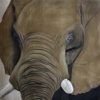 ELEPHANT HEAD éléphant Thierry Bisch artiste peintre animaux tableau art  nature biodiversité conservation 