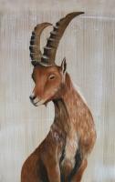 BOUQUETIN ibex 動物画 Thierry Bisch Contemporary painter animals painting art  nature biodiversity conservation