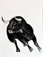 BULL-01 animal-painting 動物画 Thierry Bisch Contemporary painter animals painting art  nature biodiversity conservation