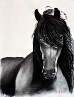 FRIESIAN-HORSE-06 animal-painting 動物画 Thierry Bisch Contemporary painter animals painting art  nature biodiversity conservation