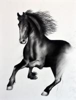 FRIESIAN-HORSE-07 animal-painting 動物画 Thierry Bisch Contemporary painter animals painting art  nature biodiversity conservation