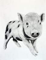 PIGGY-03 animal-painting 動物画 Thierry Bisch Contemporary painter animals painting art  nature biodiversity conservation