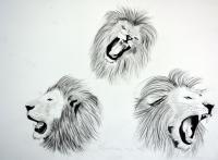 3 lions animal-painting 動物画 Thierry Bisch Contemporary painter animals painting art  nature biodiversity conservation