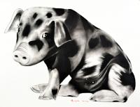 SWEET-PIGGY animal-painting 動物画 Thierry Bisch Contemporary painter animals painting art  nature biodiversity conservation