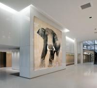 ELEPHAS-MAXIMUS elephant-Asian-elephas-maximus Thierry Bisch Contemporary painter animals painting art  nature biodiversity conservation