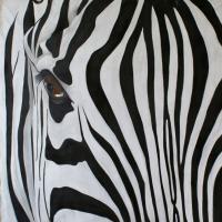 Zebre シマウマ 動物画 Thierry Bisch Contemporary painter animals painting art  nature biodiversity conservation