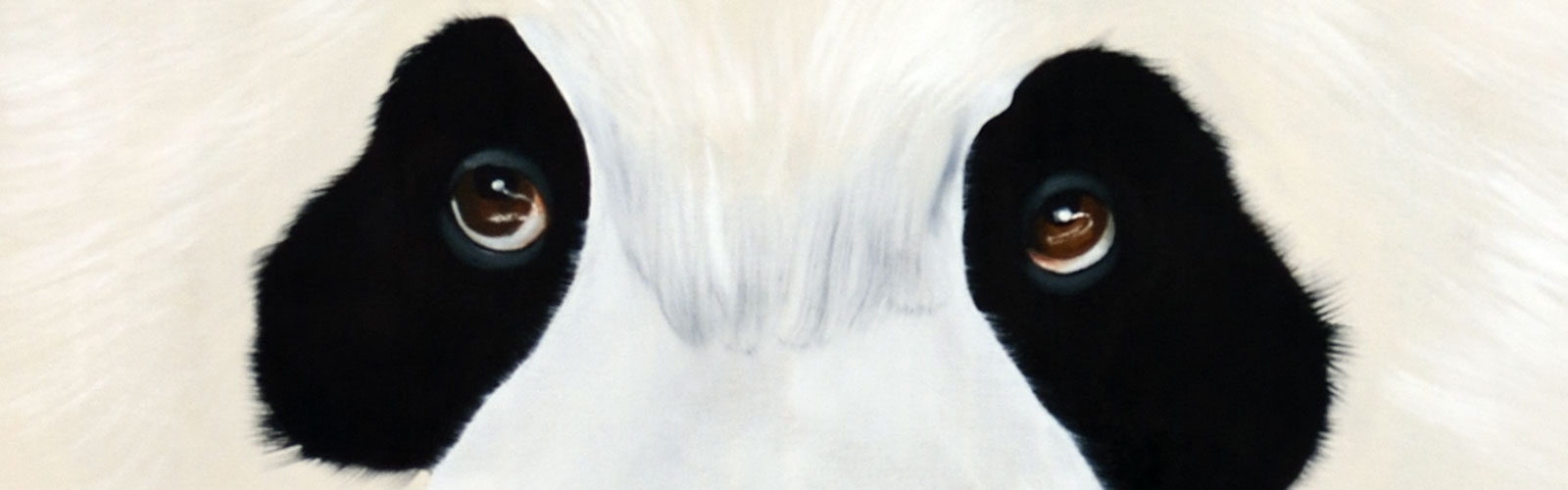Closeup-Panda peinture-animalière Thierry Bisch artiste peintre contemporain animaux tableau art  nature biodiversité conservation 