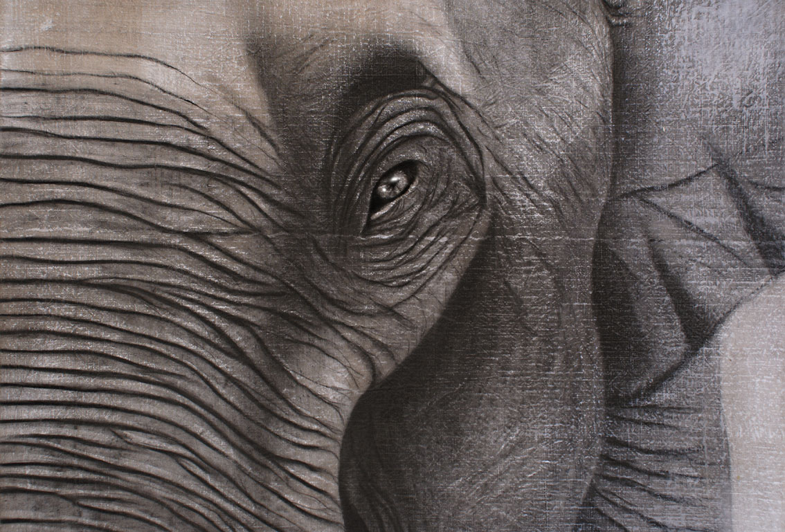 ELEPHANT-16 elephant- Thierry Bisch Contemporary painter animals painting art  nature biodiversity conservation 