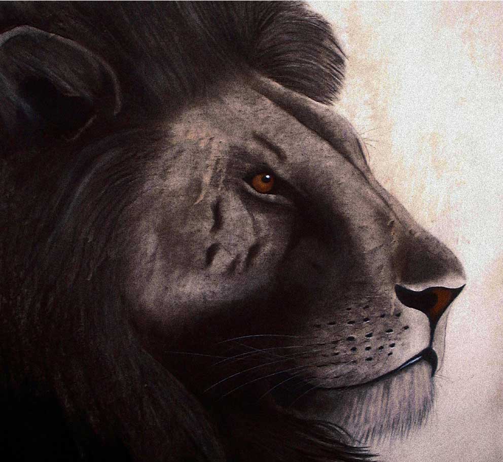 Lion-Edition-15-exemplaires lion Thierry Bisch Contemporary painter animals painting art  nature biodiversity conservation 