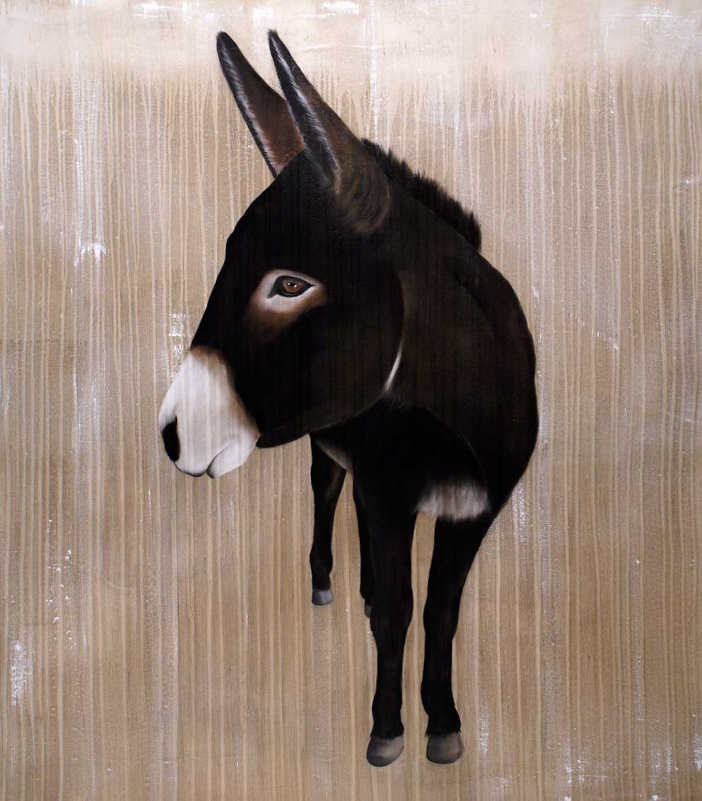 Kali donkey Thierry Bisch Contemporary painter animals painting art  nature biodiversity conservation 