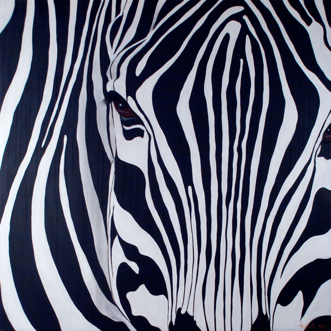 ZEBRA CLOSEUP zebraContemporary animal painter t