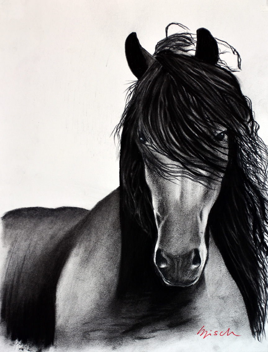 FRIESIAN-HORSE-06 animal-painting Thierry Bisch Contemporary painter animals painting art  nature biodiversity conservation 
