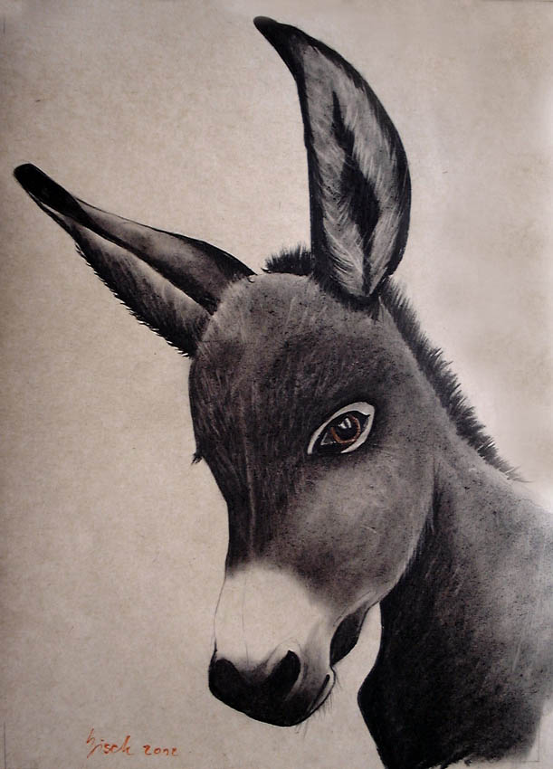  Cadichon donkey Thierry Bisch Contemporary painter animals painting art  nature biodiversity conservation Monaco Prince-Albert Prince-Albert-of-Monaco 