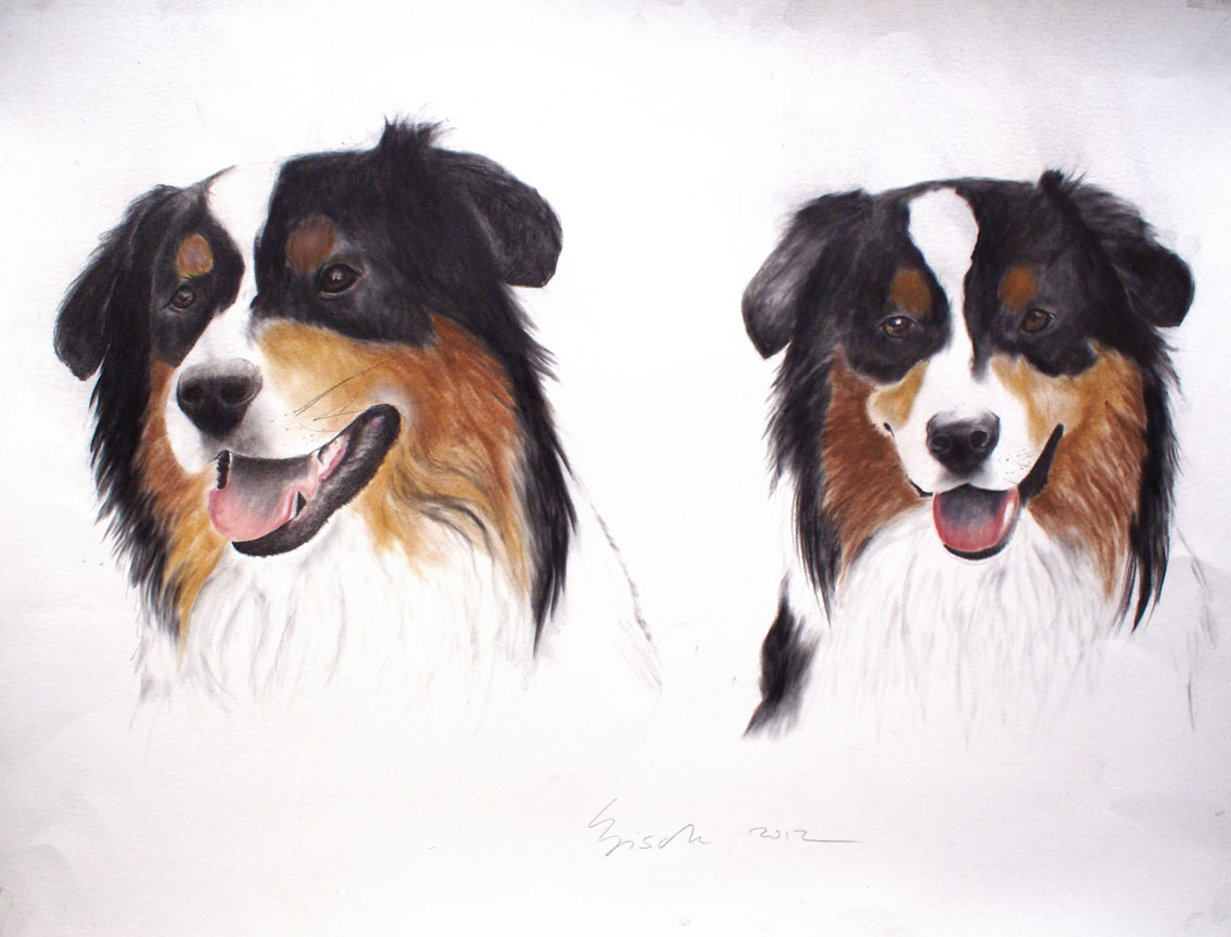 GUS animal-painting Thierry Bisch Contemporary painter animals painting art  nature biodiversity conservation Monaco Prince-Albert Prince-Albert-of-Monaco 