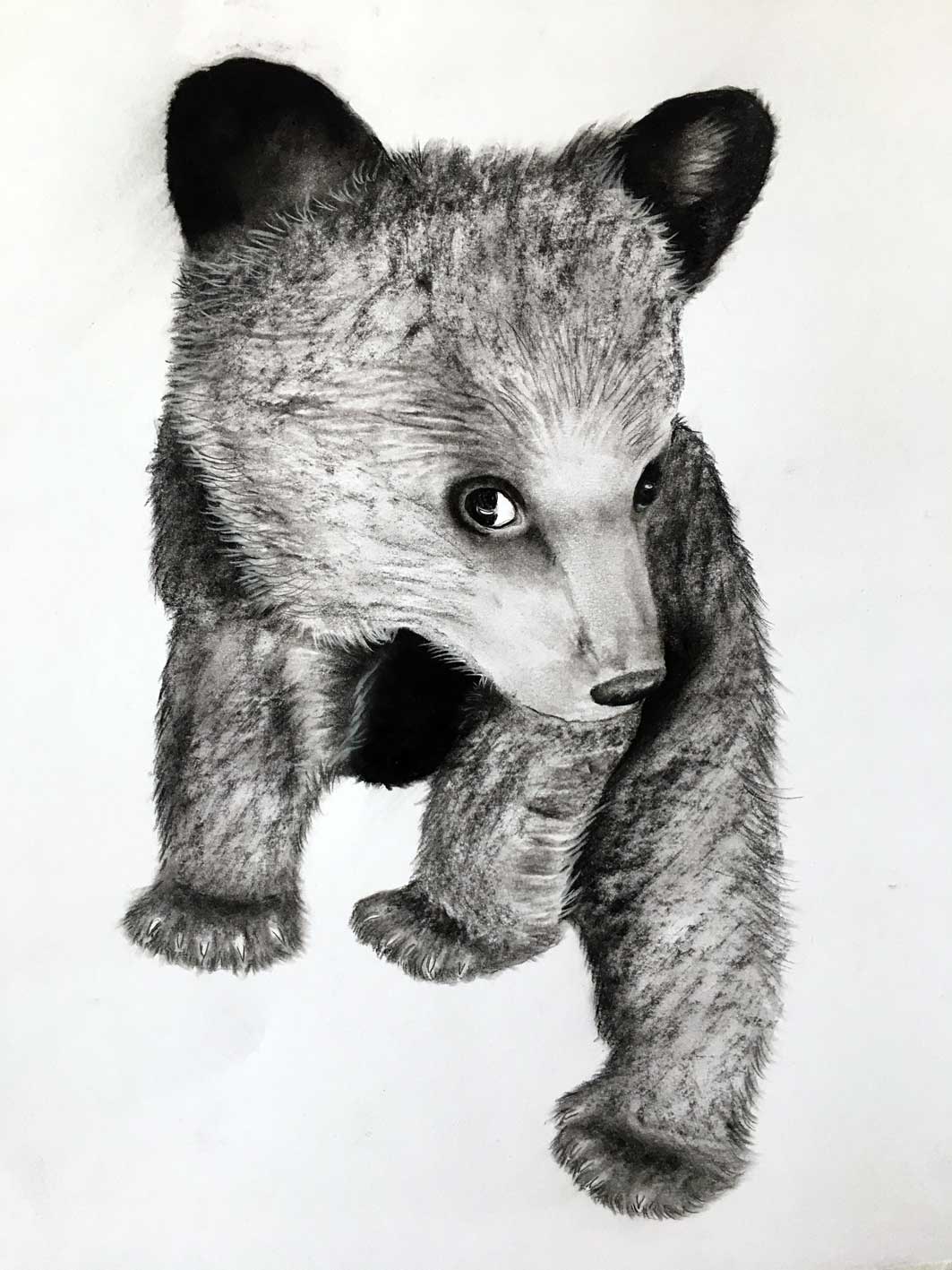 BEAR-CUB-2 bear-cub Thierry Bisch Contemporary painter animals painting art  nature biodiversity conservation 