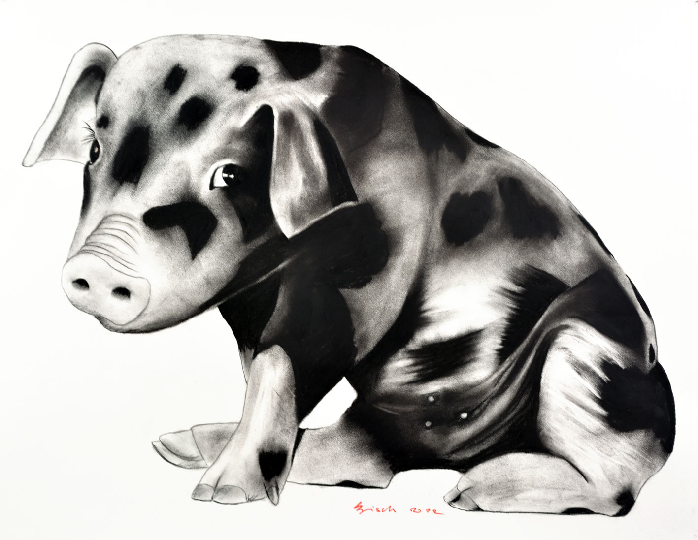 SWEET-PIGGY pig-piggy-piglet- Thierry Bisch Contemporary painter animals painting art  nature biodiversity conservation 