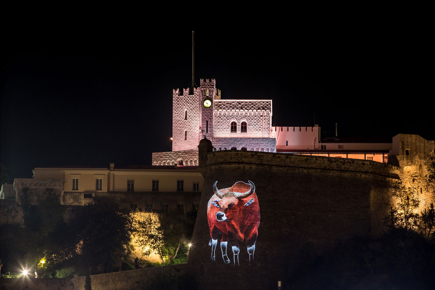 PROJECTION animal-painting Thierry Bisch Contemporary painter animals painting art  nature biodiversity conservation Monaco Prince-Albert Prince-Albert-of-Monaco 