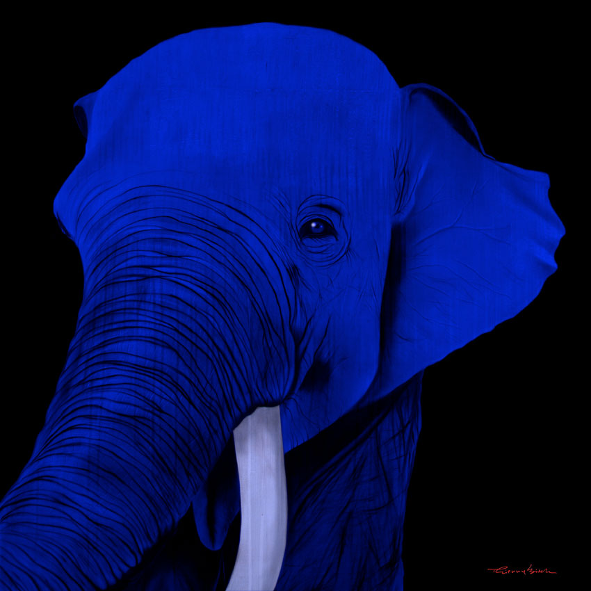 BATUNA ULTRAMARINE BLUE ELEPHANT Thierry Bisch Contemporary painter animals painting art decoration nature biodiversity conservation