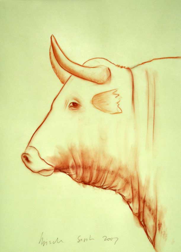 Bull 006 animal-painting Thierry Bisch Contemporary painter animals painting art  nature biodiversity conservation 