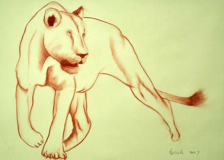 Lioness lion-lioness Thierry Bisch Contemporary painter animals painting art  nature biodiversity conservation Monaco Prince-Albert Prince-Albert-of-Monaco 