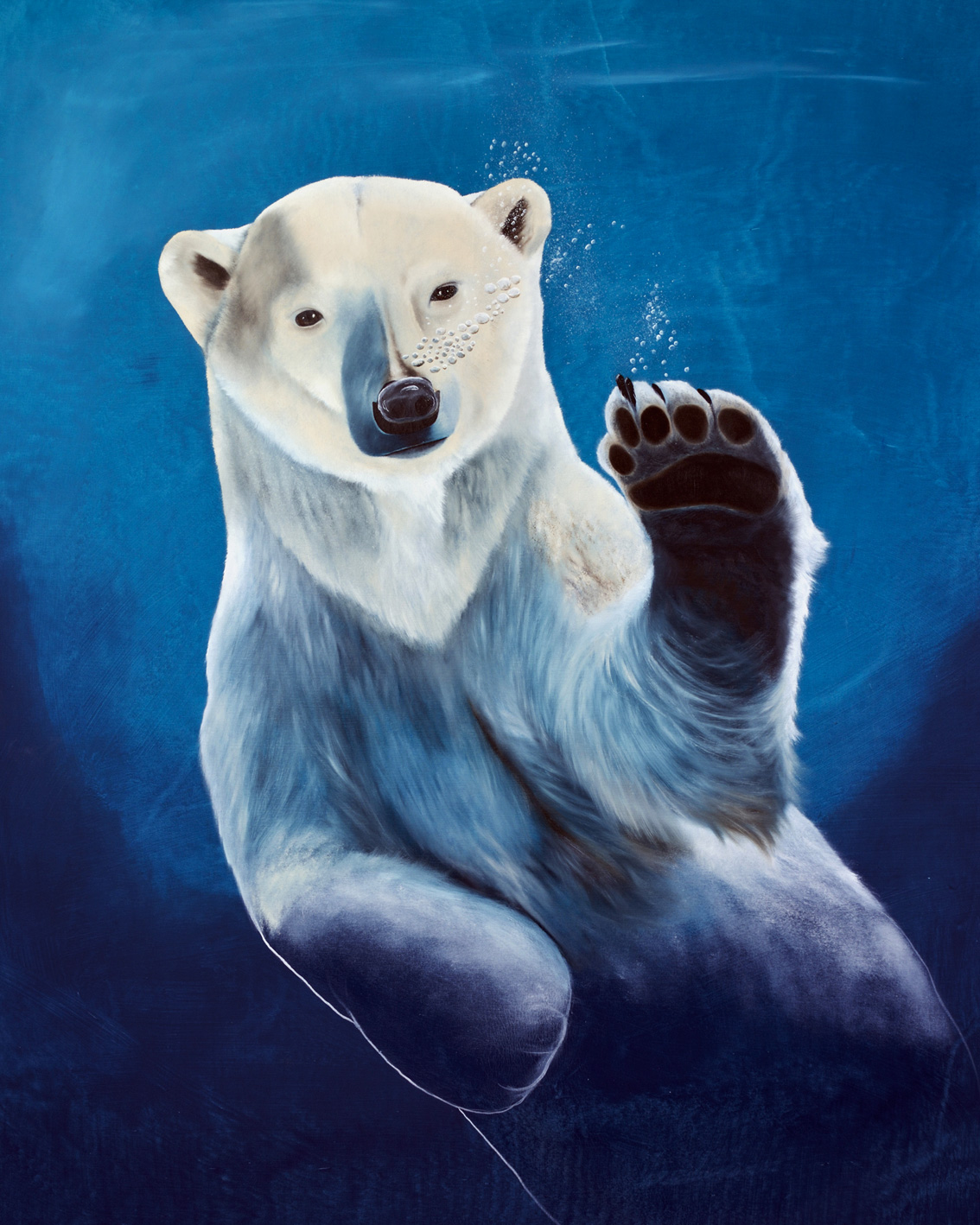 URSUS-MARITIMUS--2 polar-bear-white-swiming-ursus-maritimus Thierry Bisch Contemporary painter animals painting art  nature biodiversity conservation Monaco Prince-Albert Prince-Albert-of-Monaco 
