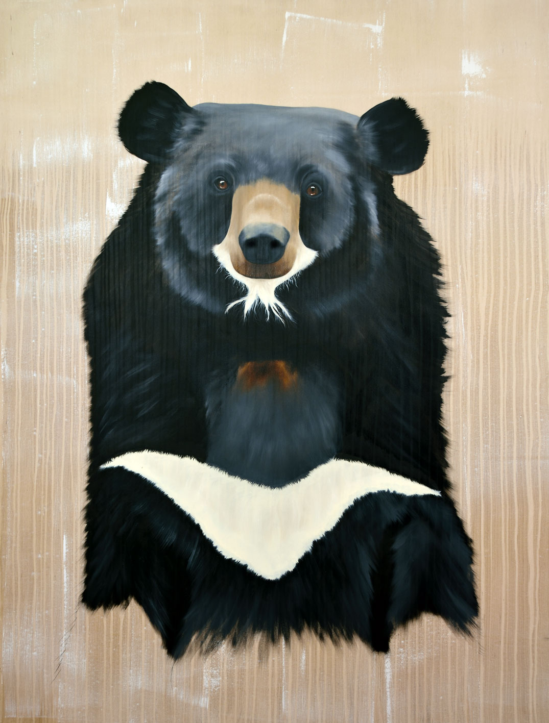 URSUS-THIBETANUS asian-bear-tibetan-ursusthibetanus Thierry Bisch Contemporary painter animals painting art  nature biodiversity conservation 
