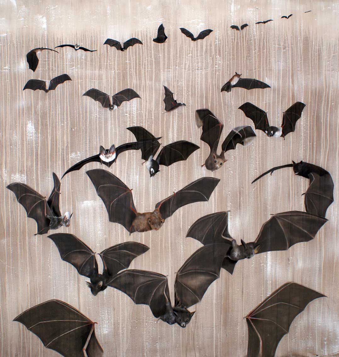 Desmodus rotundus bats-threatened-endangered-extinction Thierry Bisch Contemporary painter animals painting art  nature biodiversity conservation 